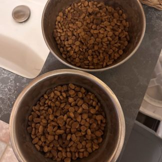 Dog Food