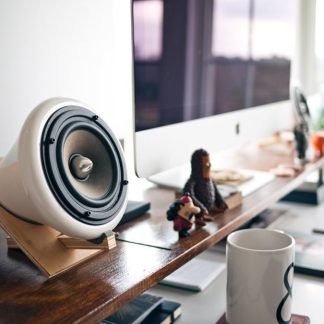 Speaker